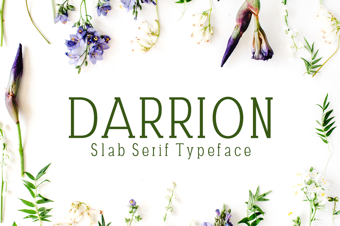 Darrion Slab Serif Font: A Designer’s Practical Pick for Digital Projects