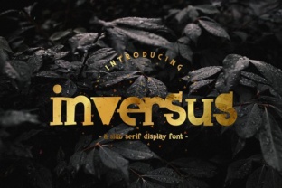 Inversus: A Professional Slab Serif Font for Small Business Branding