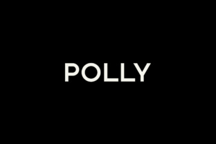 Polly: A Minimal Typeface That Elevates Brand Design