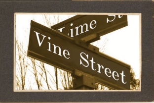 Vine Street Font: A Touch of Timeless Charm for Your Brand