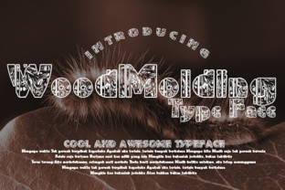 WoodMolding Font Review for Real Campaigns